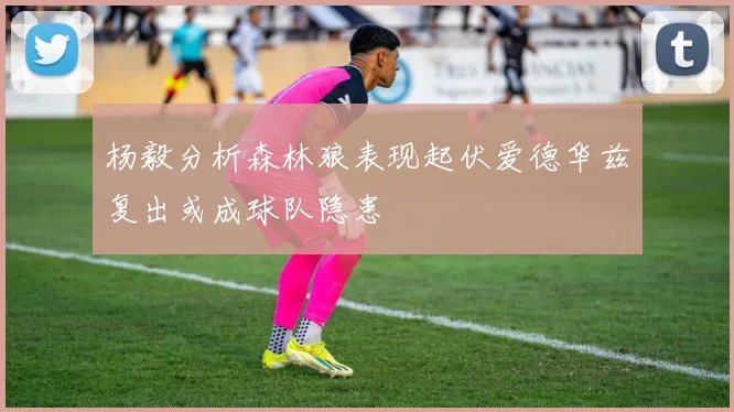 杨毅分析森林狼表现起伏爱德华兹复出或成球队隐患